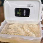 Premium White Honey