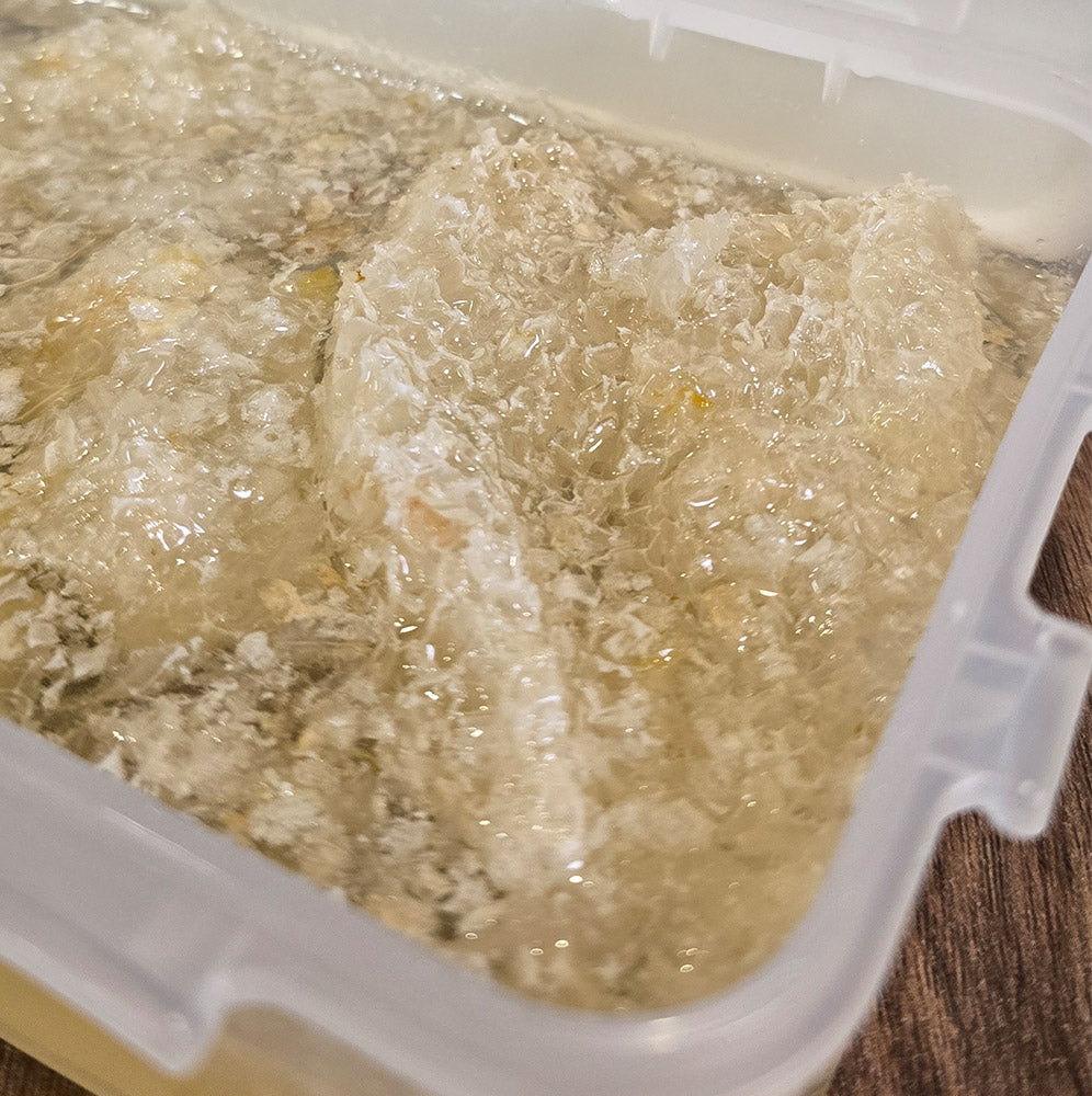 Premium White Honey