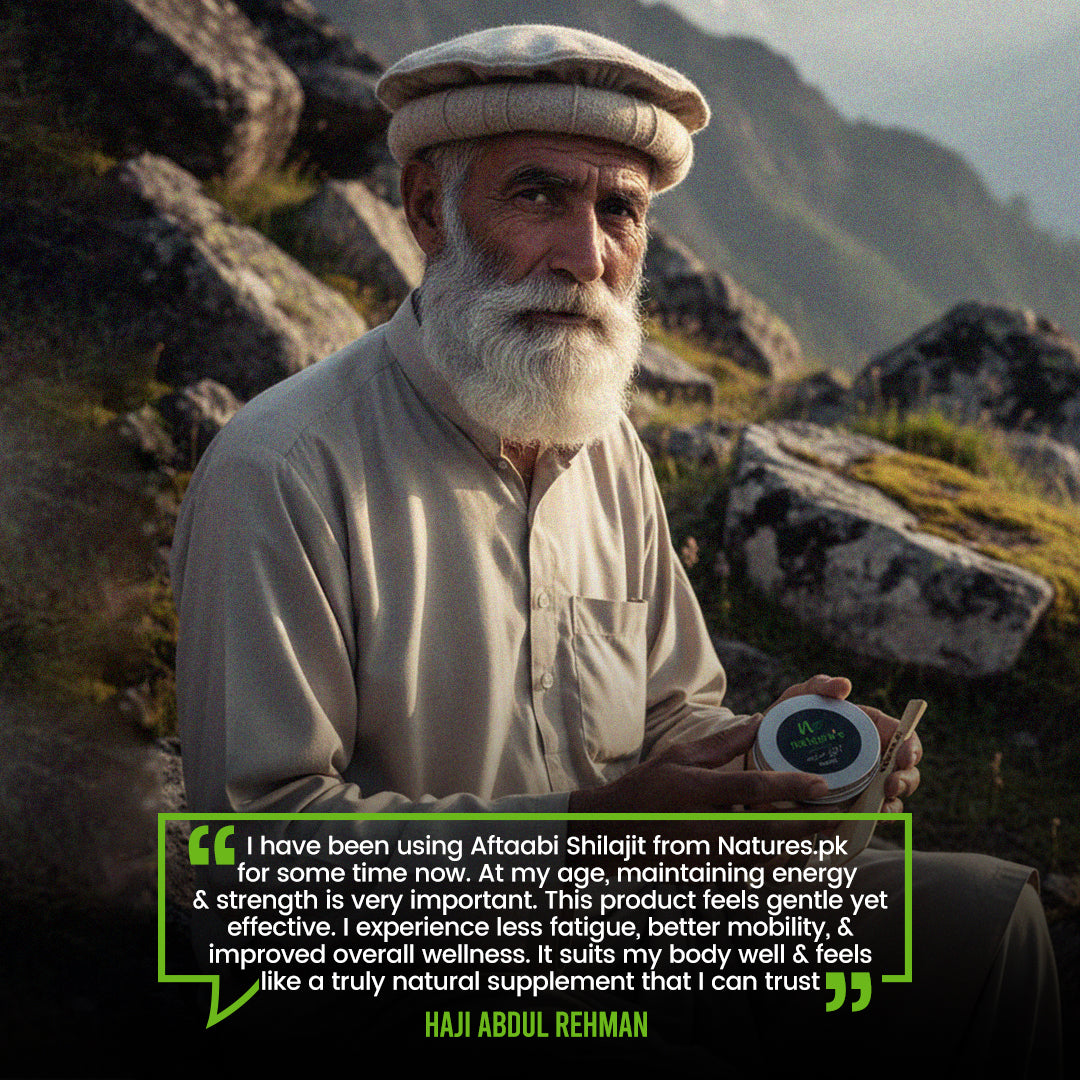 Aftabi Shilajit 25g