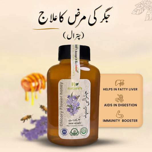 Chicory Flower Honey (Chitral)