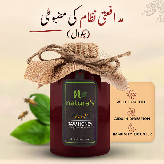 Jangli Beri Honey (Chakwal)