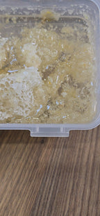 Premium White Honey